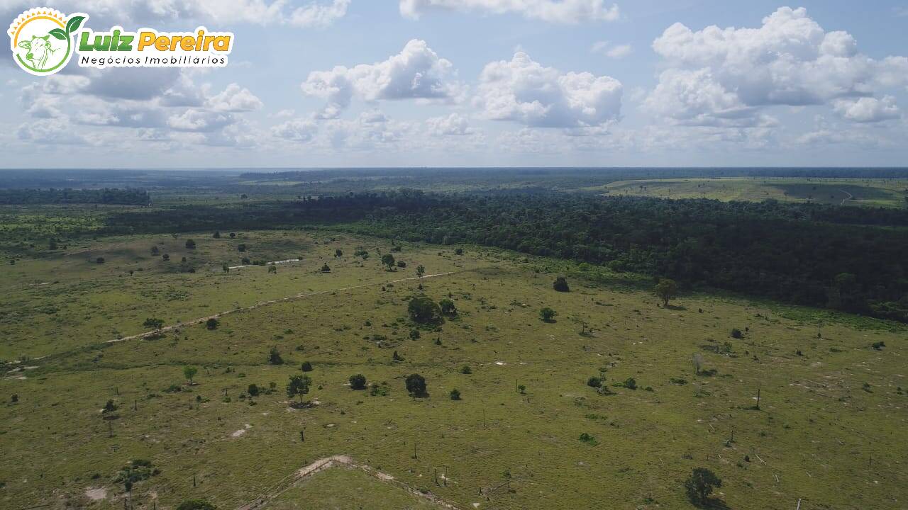 Fazenda à venda, 80800000m² - Foto 3