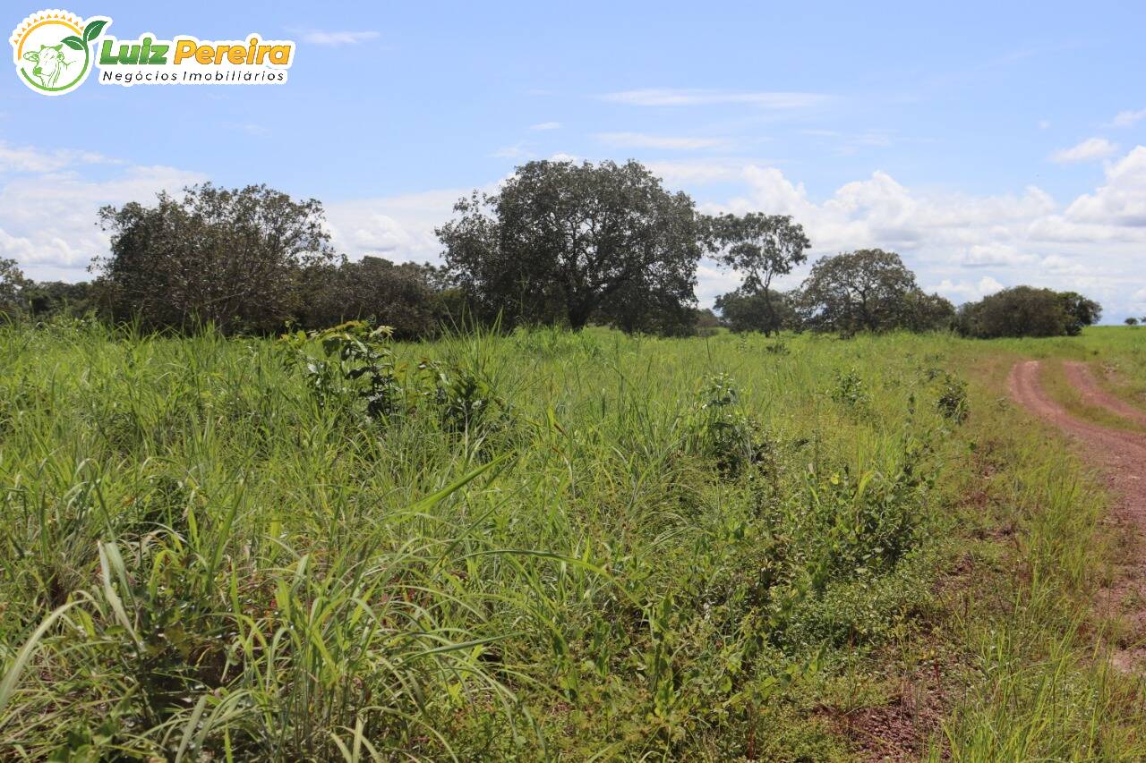 Fazenda à venda, 401720000m² - Foto 8