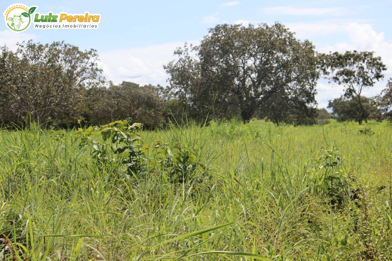 Fazenda à venda, 401720000m² - Foto 5