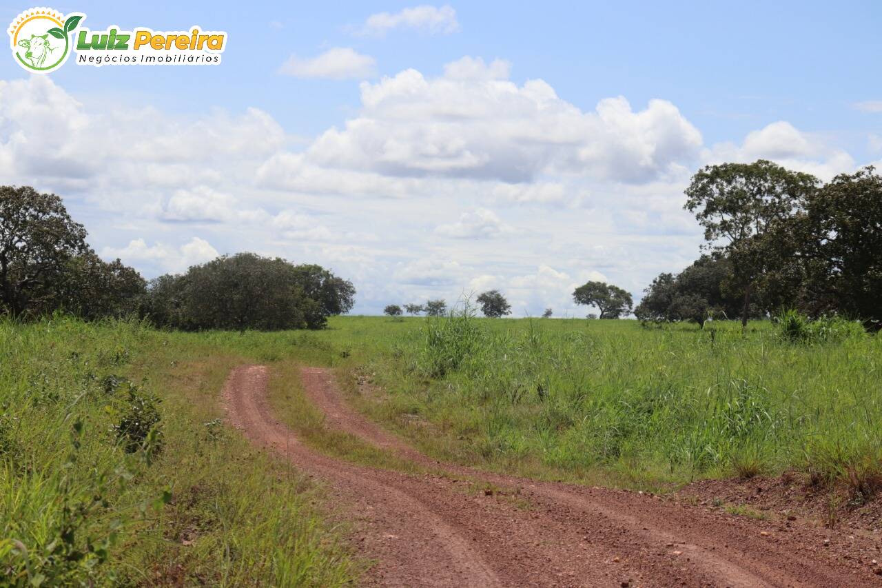 Fazenda à venda, 401720000m² - Foto 14