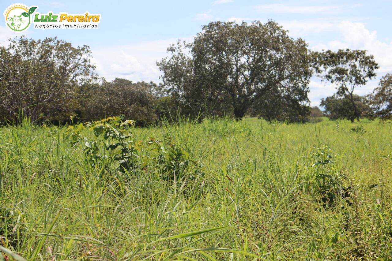 Fazenda à venda, 401720000m² - Foto 6