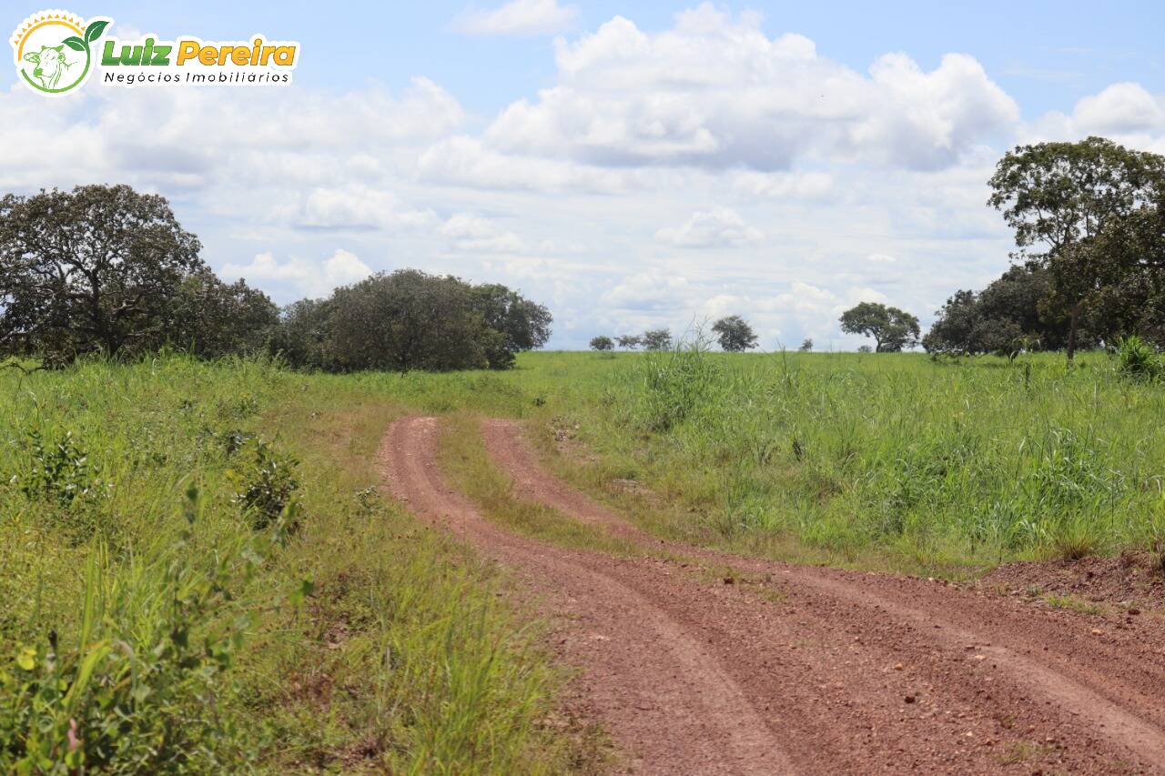 Fazenda à venda, 401720000m² - Foto 15