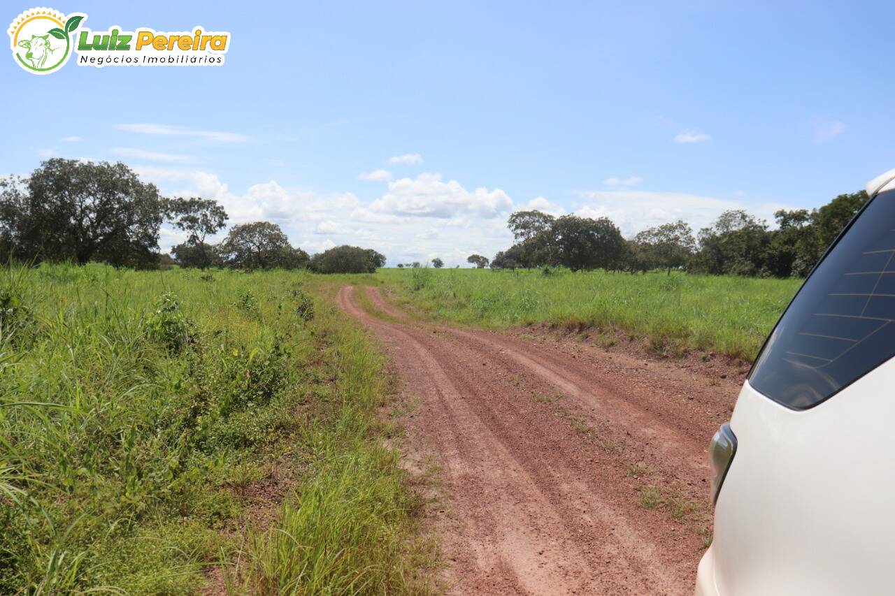 Fazenda à venda, 401720000m² - Foto 16