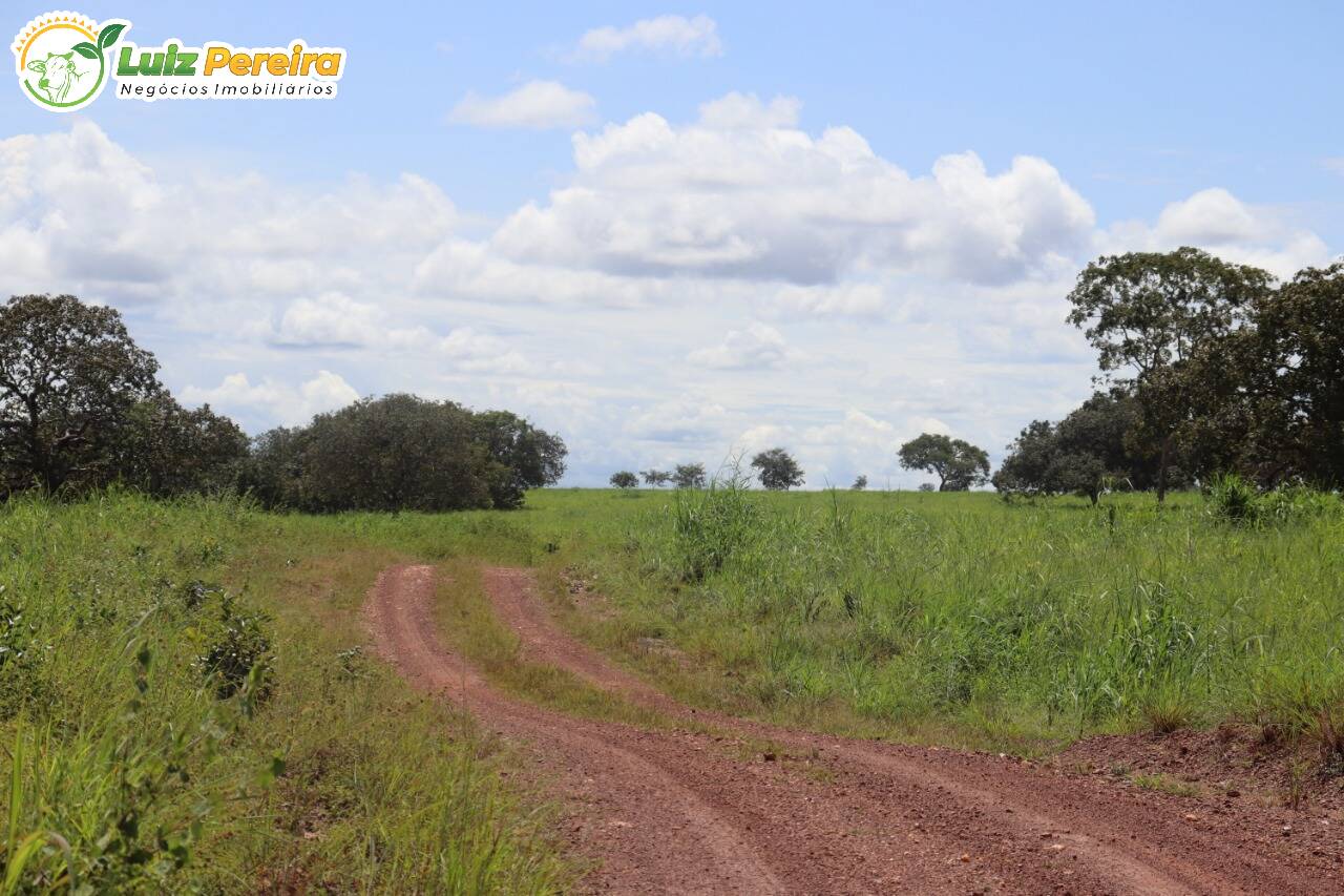 Fazenda à venda, 401720000m² - Foto 17