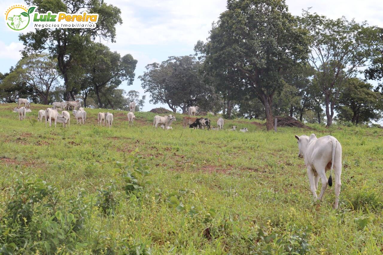 Fazenda à venda, 401720000m² - Foto 3