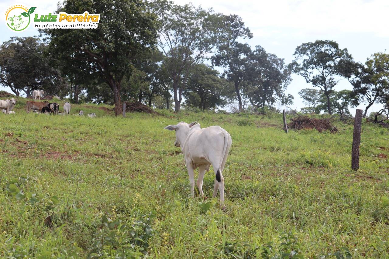 Fazenda à venda, 401720000m² - Foto 4