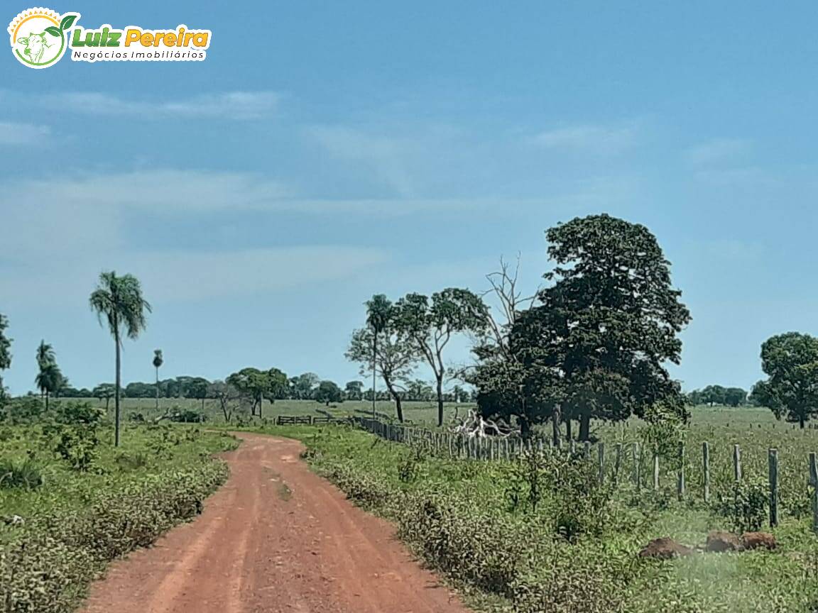 Fazenda à venda, 31330000m² - Foto 18