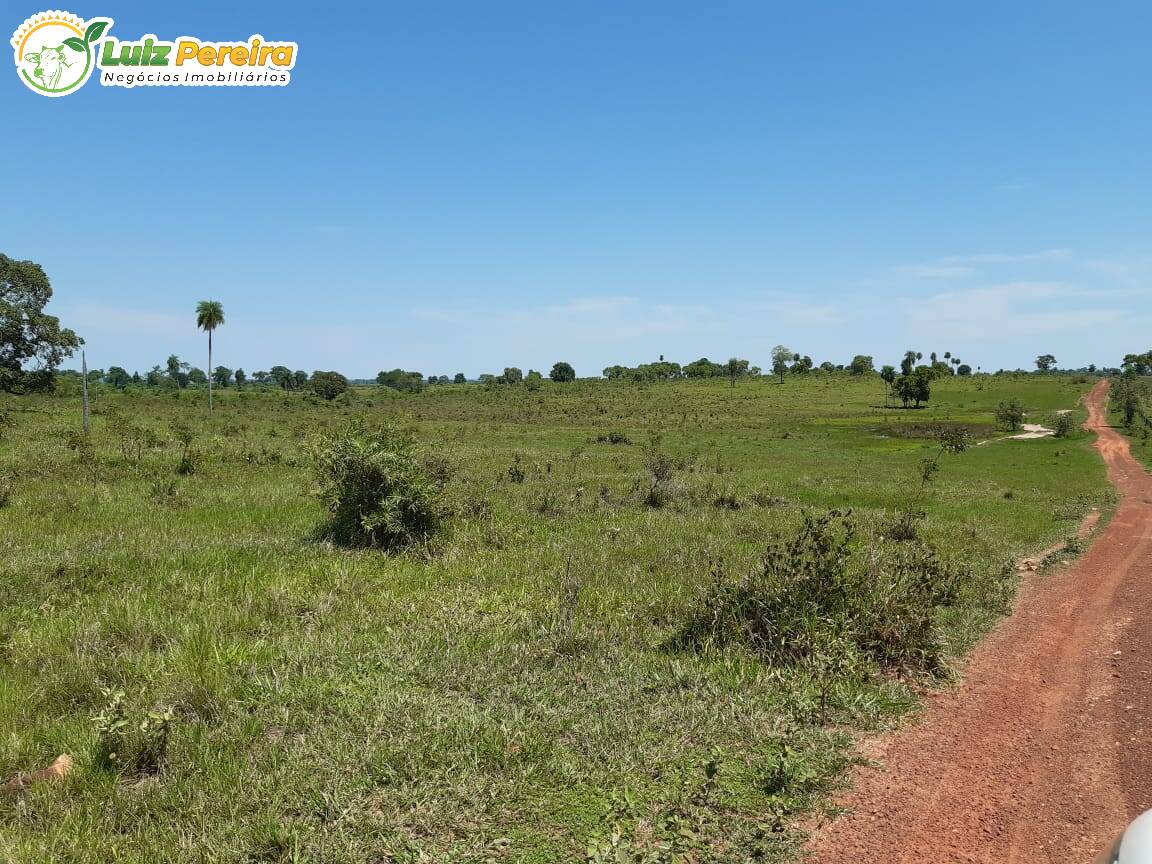 Fazenda à venda, 31330000m² - Foto 19