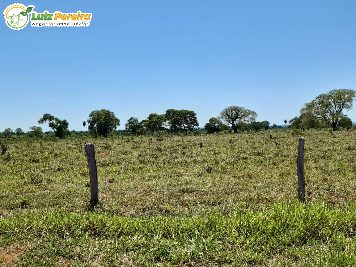 Fazenda à venda, 31330000m² - Foto 12