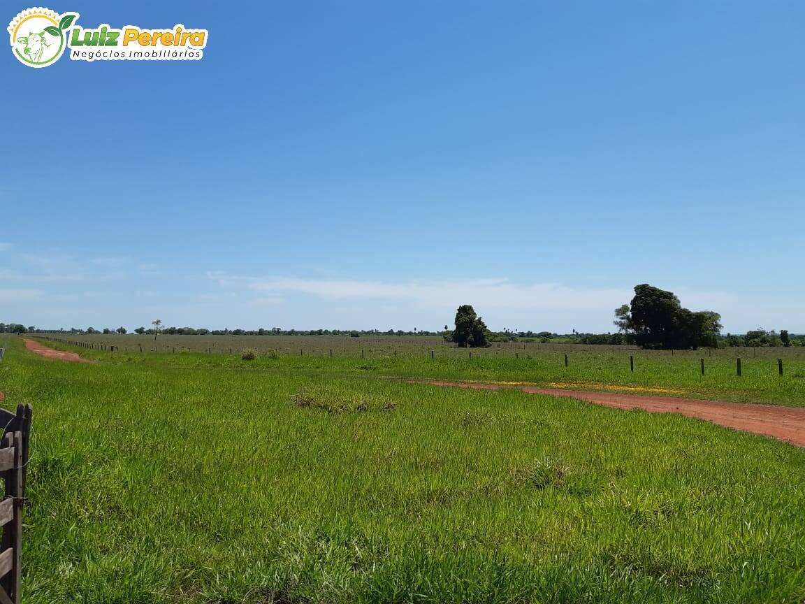 Fazenda à venda, 31330000m² - Foto 17