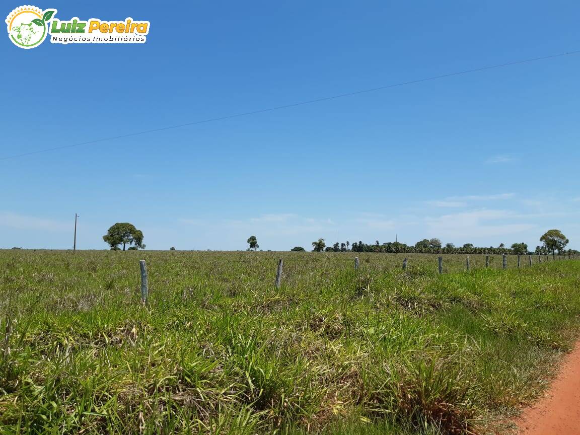 Fazenda à venda, 31330000m² - Foto 16