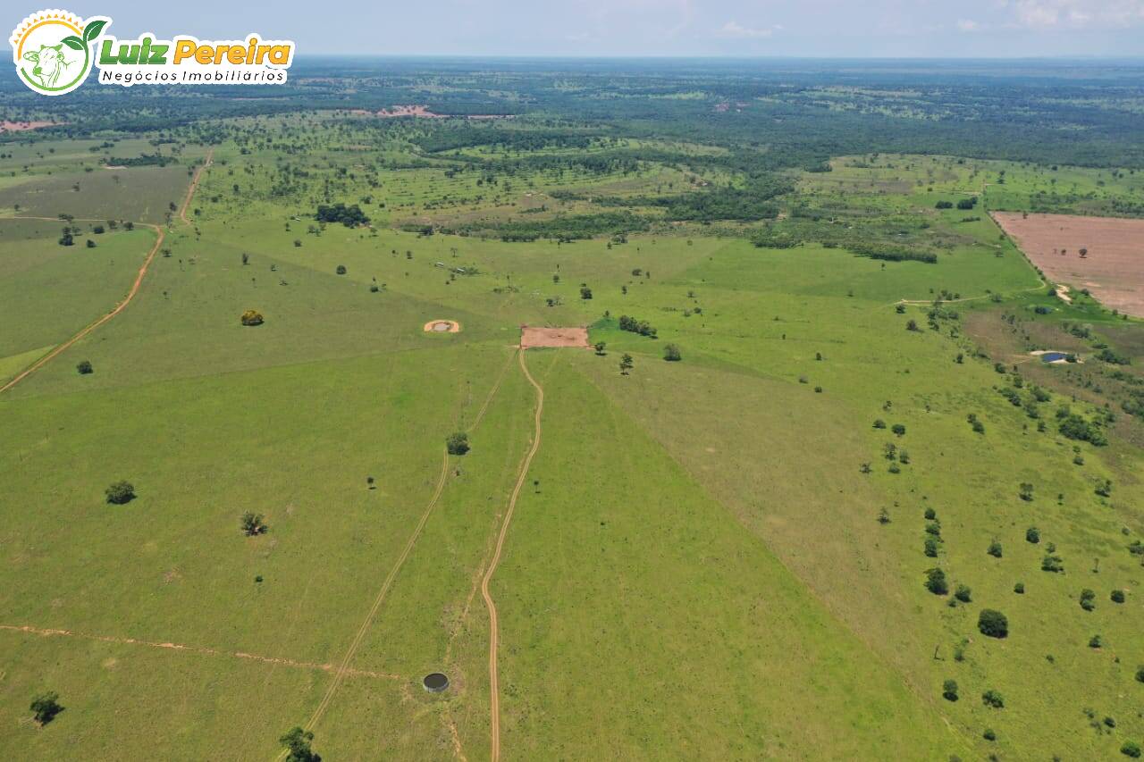 Fazenda à venda, 31330000m² - Foto 2