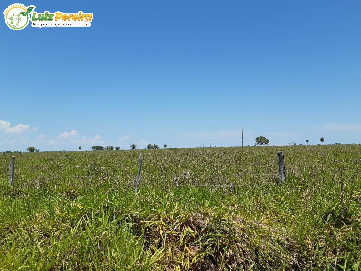 Fazenda à venda, 31330000m² - Foto 13