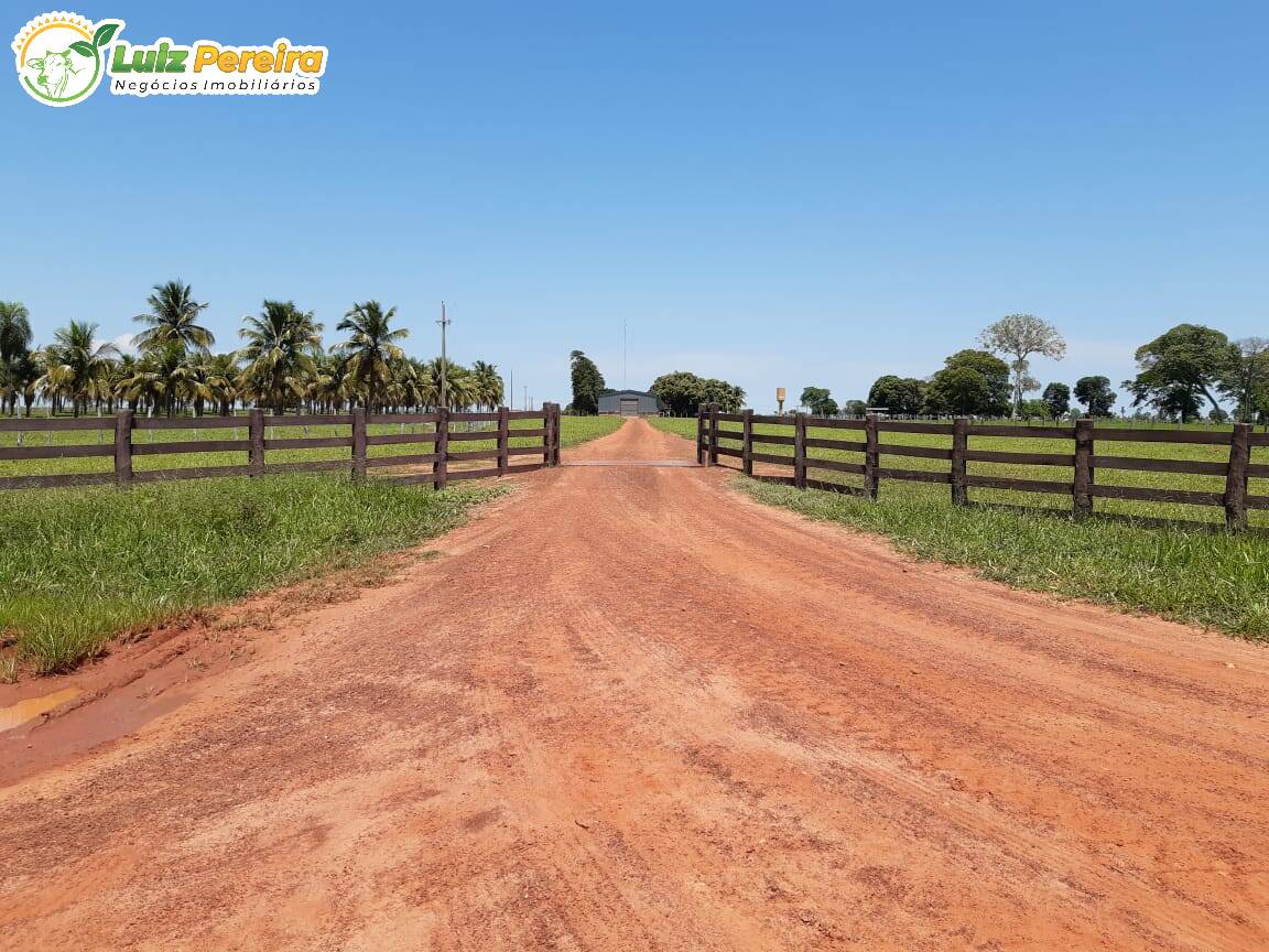 Fazenda à venda, 31330000m² - Foto 20