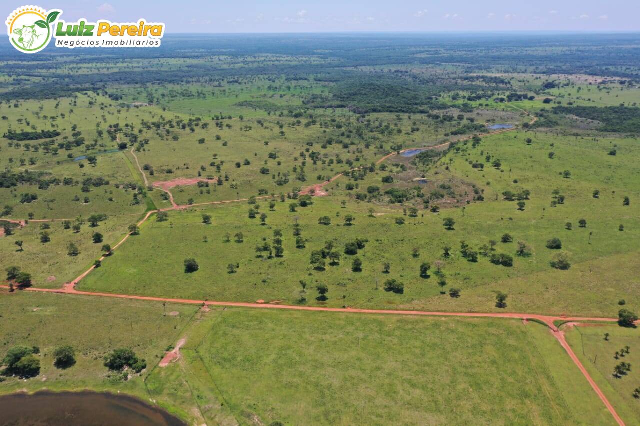 Fazenda à venda, 31330000m² - Foto 3