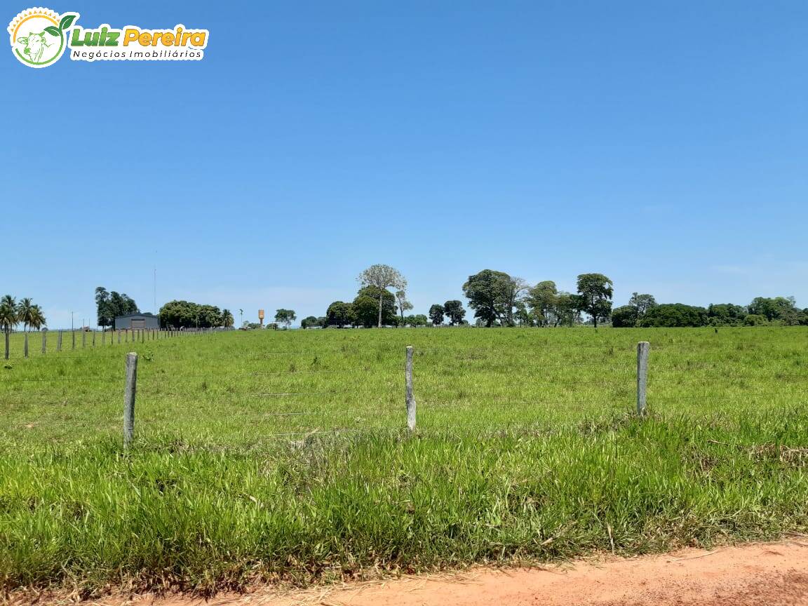 Fazenda à venda, 31330000m² - Foto 5