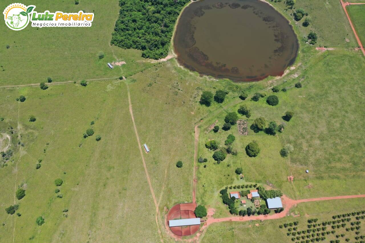 Fazenda à venda, 31330000m² - Foto 6