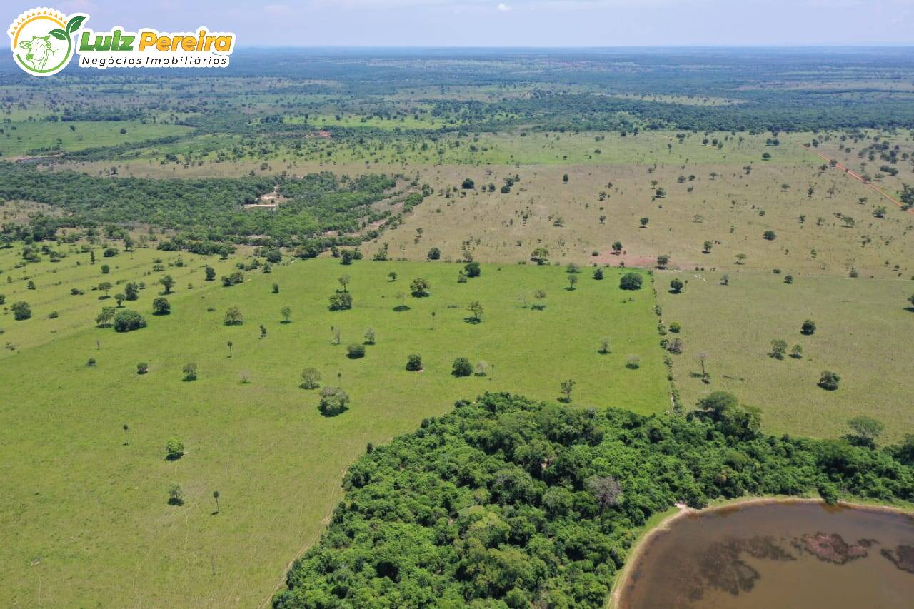 Fazenda à venda, 31330000m² - Foto 8