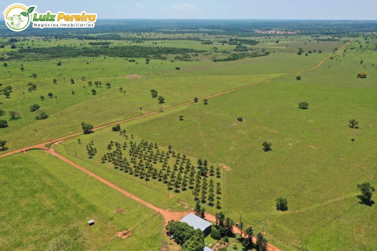 Fazenda à venda, 31330000m² - Foto 9