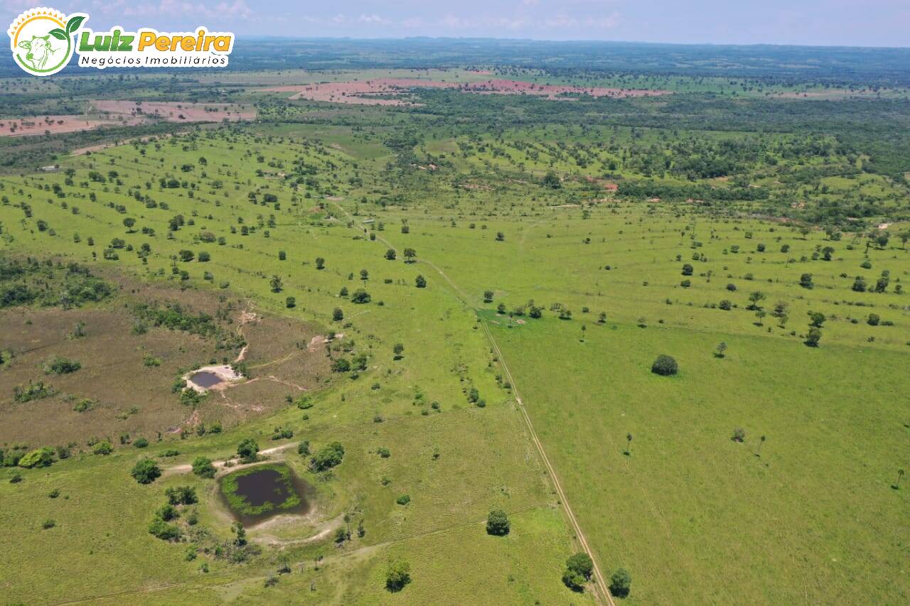 Fazenda à venda, 31330000m² - Foto 1