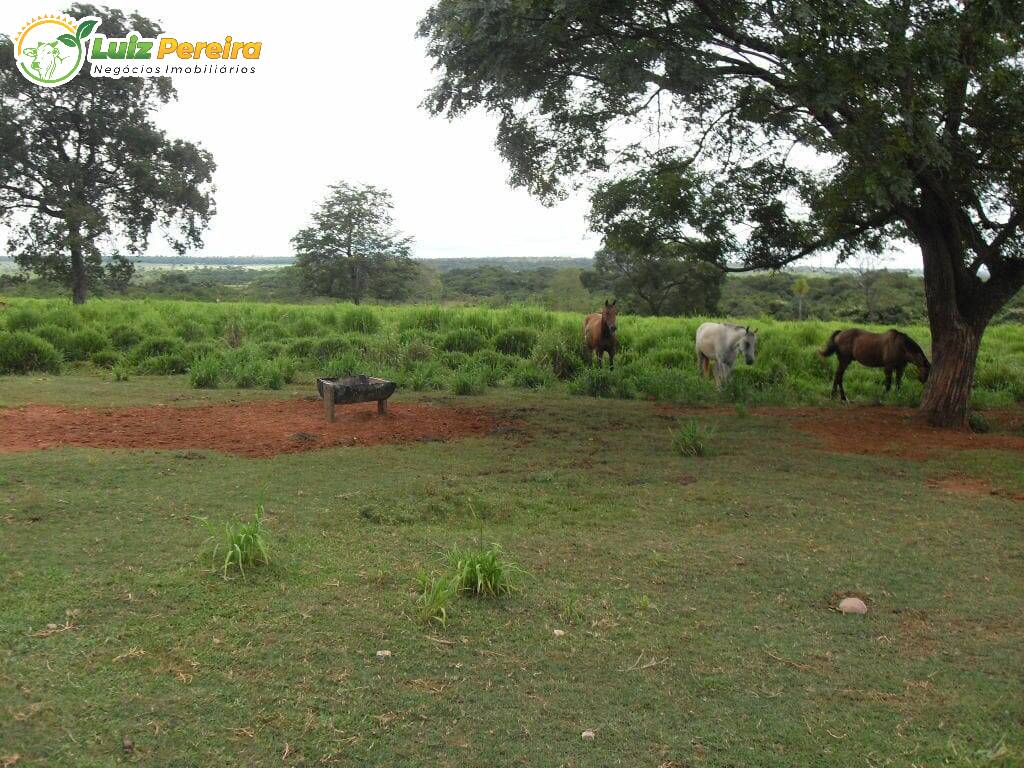 Fazenda à venda, 31330000m² - Foto 15