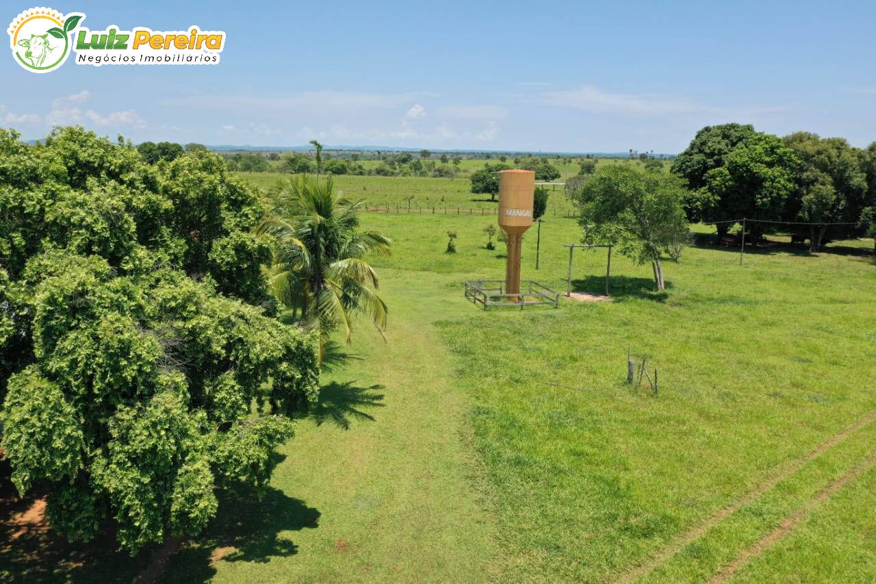 Fazenda à venda, 31330000m² - Foto 10