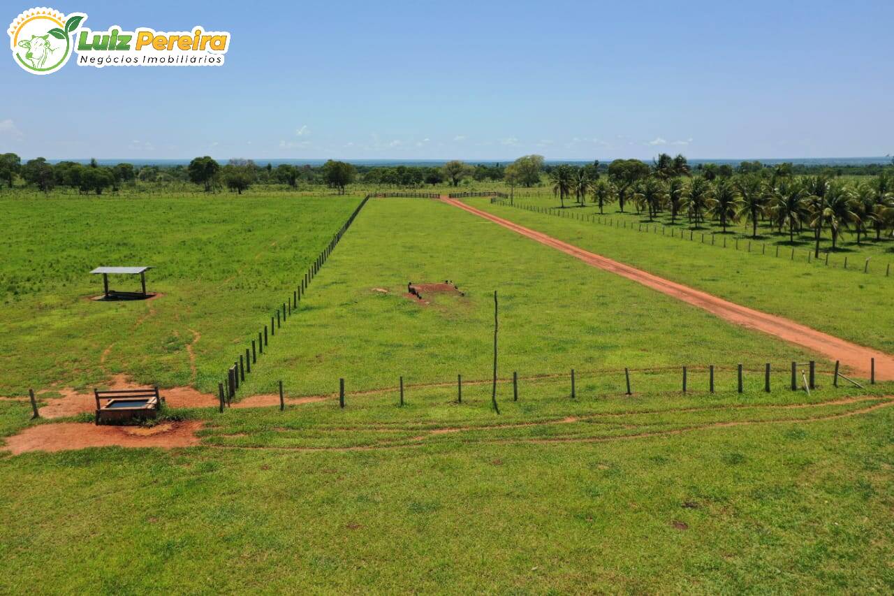 Fazenda à venda, 31330000m² - Foto 14