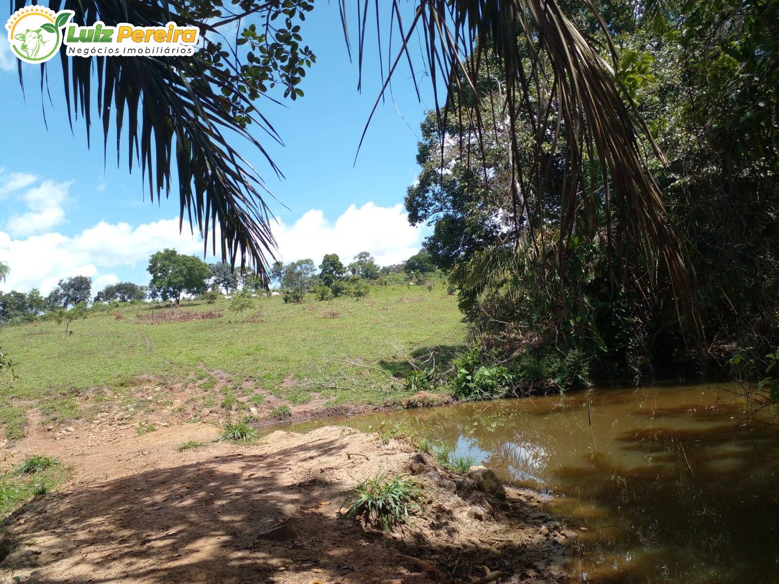 Fazenda à venda, 1720000m² - Foto 11