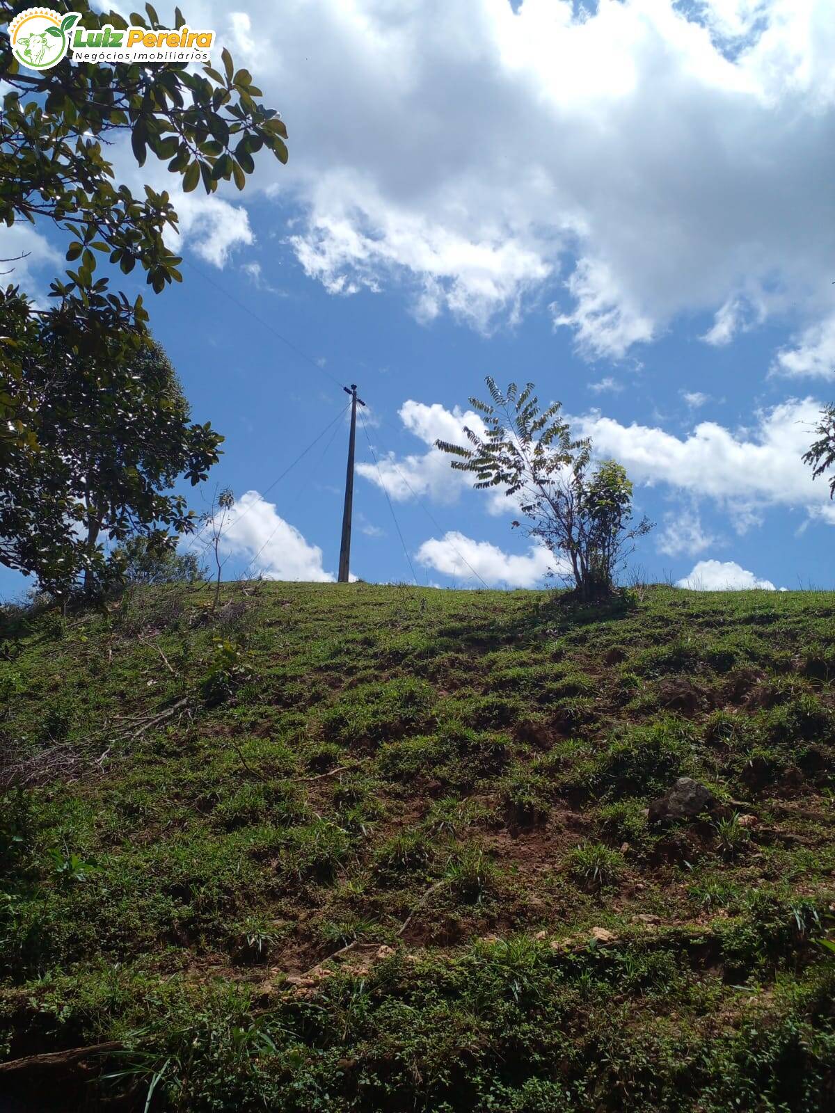 Fazenda à venda, 1720000m² - Foto 16