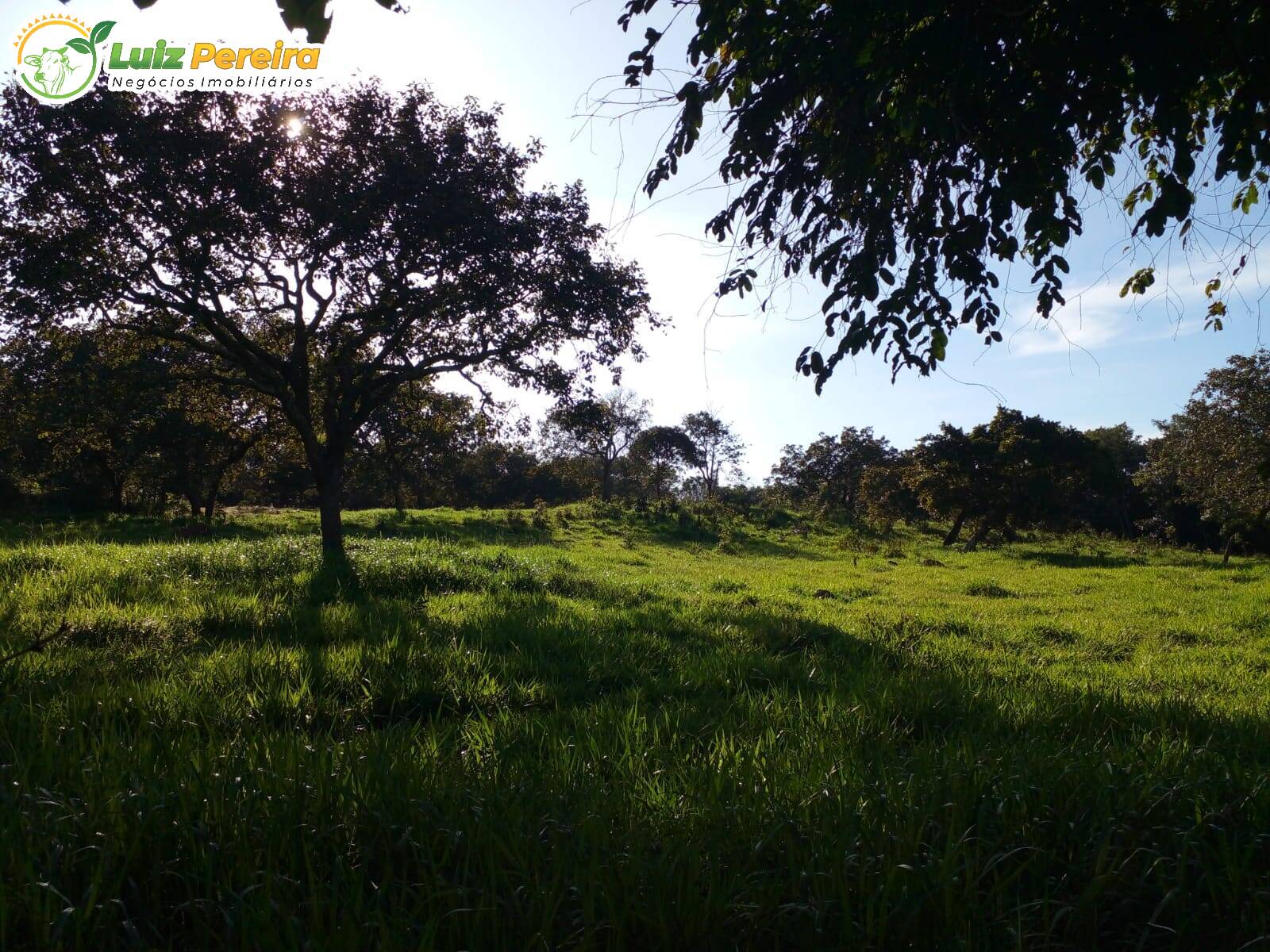 Fazenda à venda, 1720000m² - Foto 5