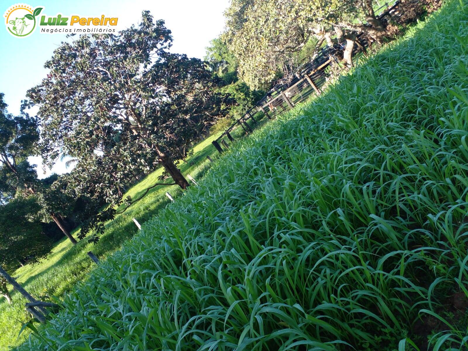 Fazenda à venda, 1720000m² - Foto 7