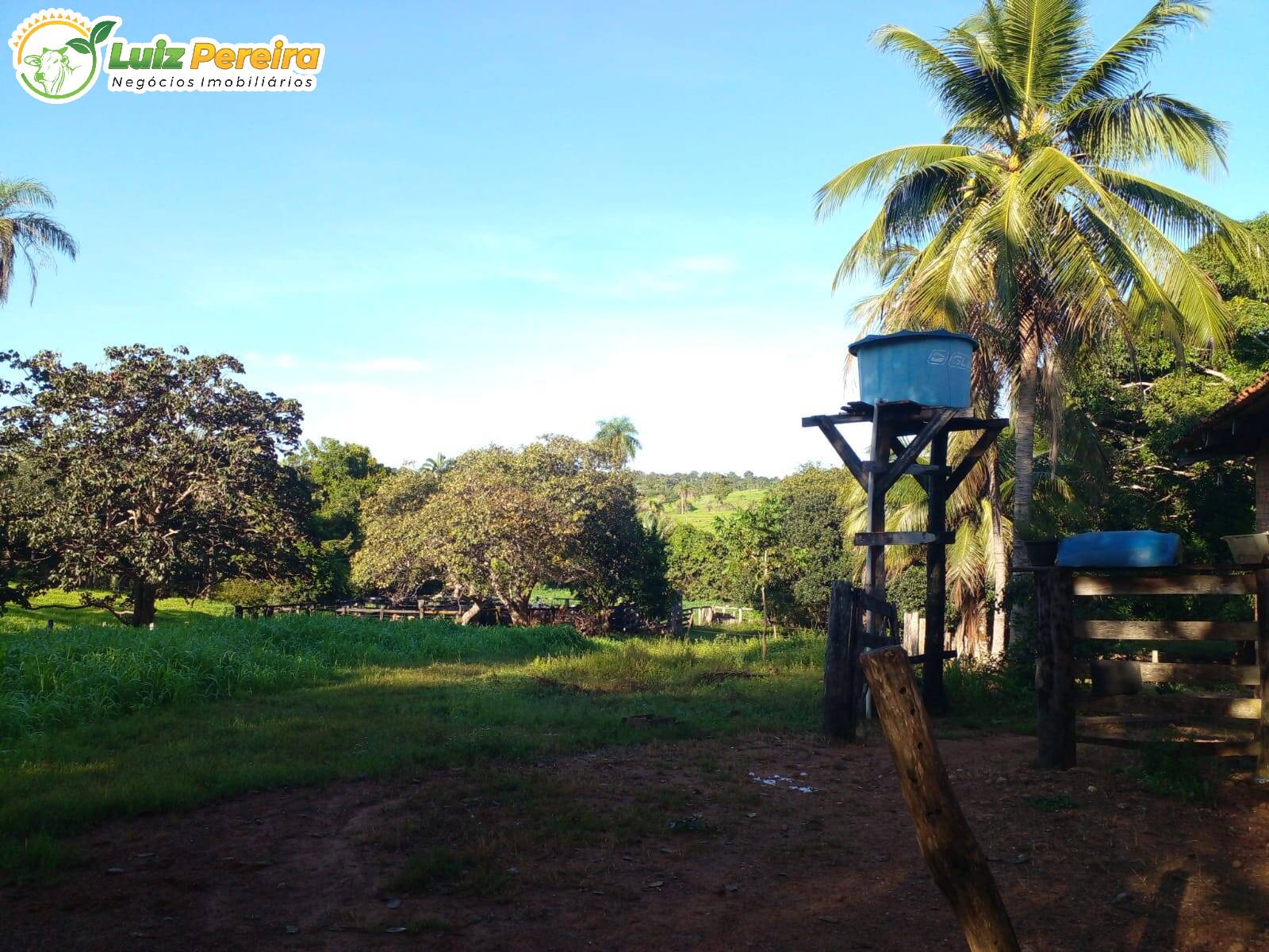 Fazenda à venda, 1720000m² - Foto 8