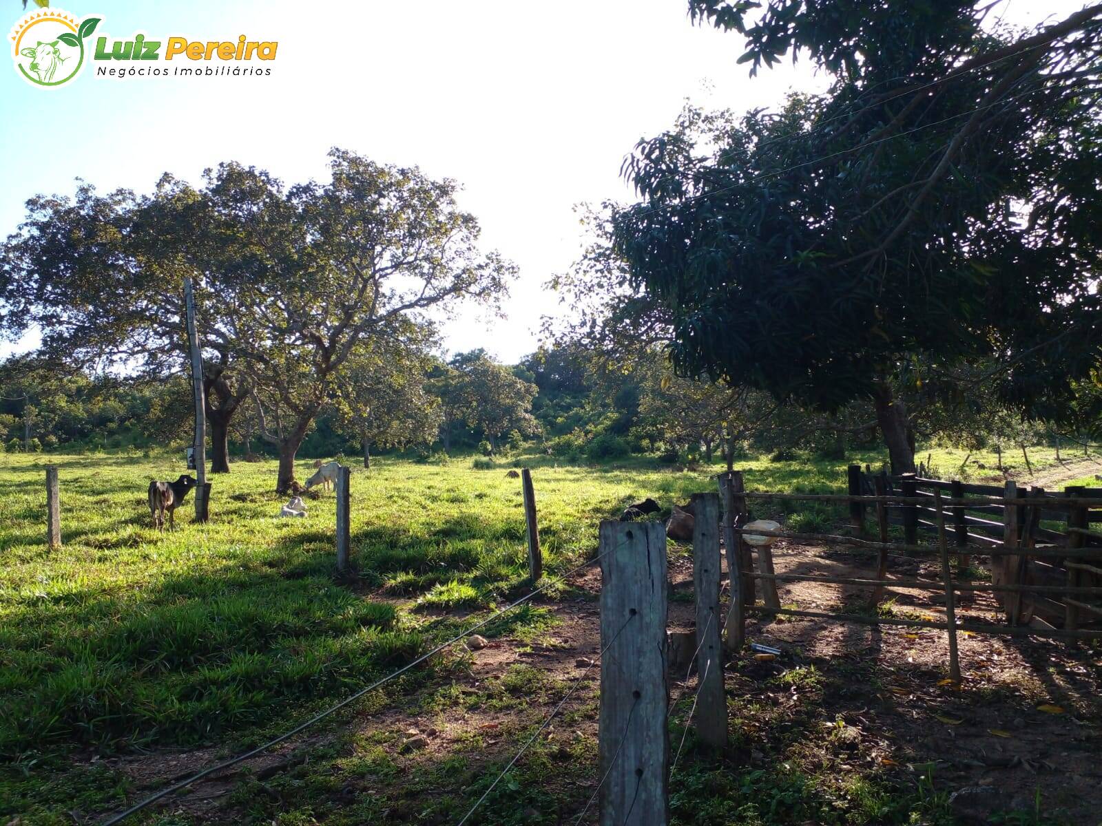 Fazenda à venda, 1720000m² - Foto 9