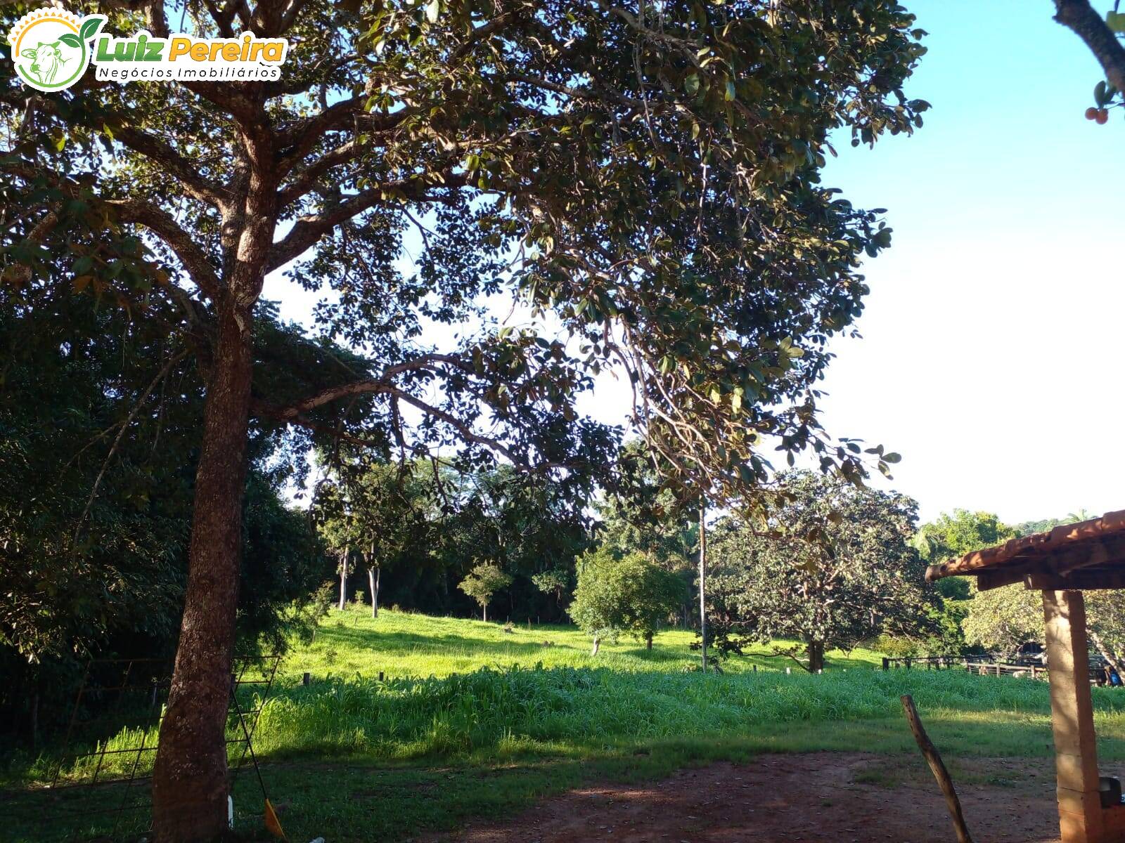 Fazenda à venda, 1720000m² - Foto 10