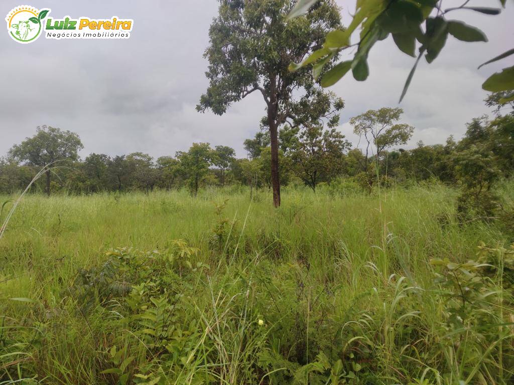 Fazenda à venda, 1597m² - Foto 6