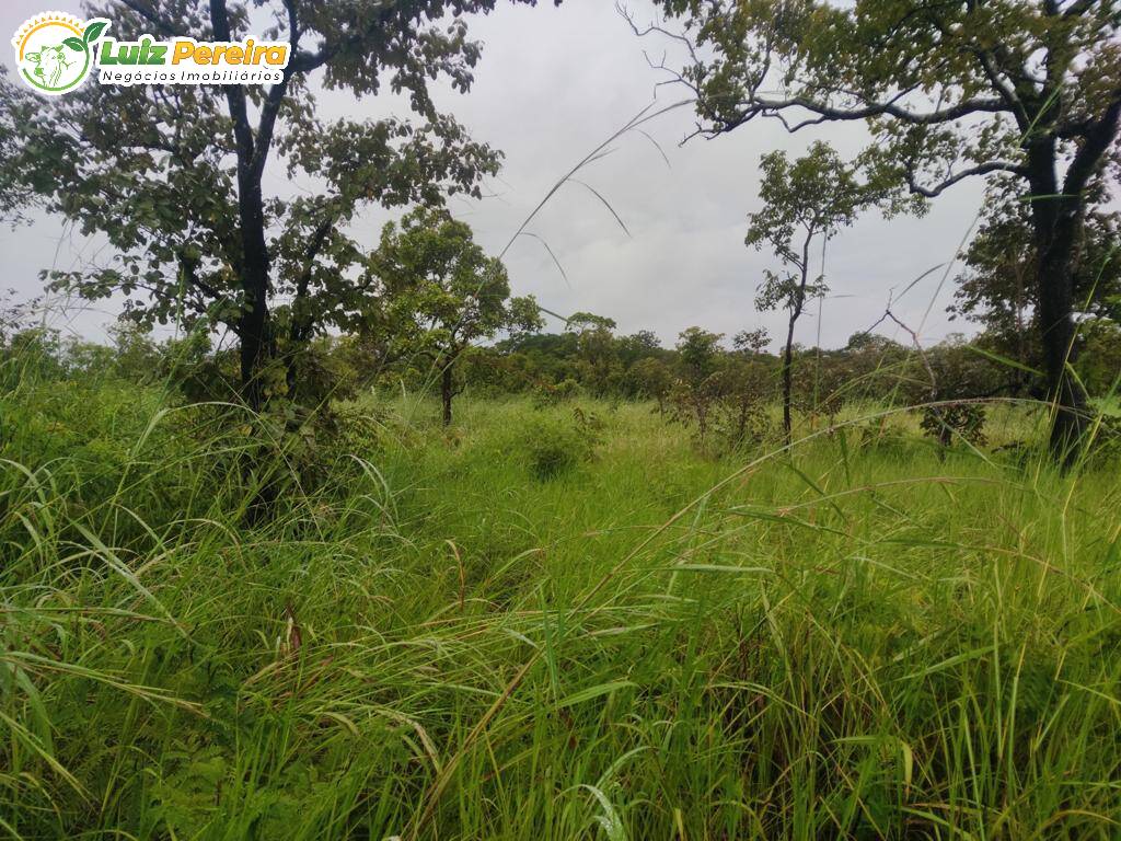 Fazenda à venda, 1597m² - Foto 5