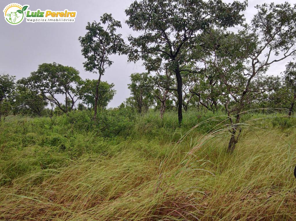 Fazenda à venda, 1597m² - Foto 13