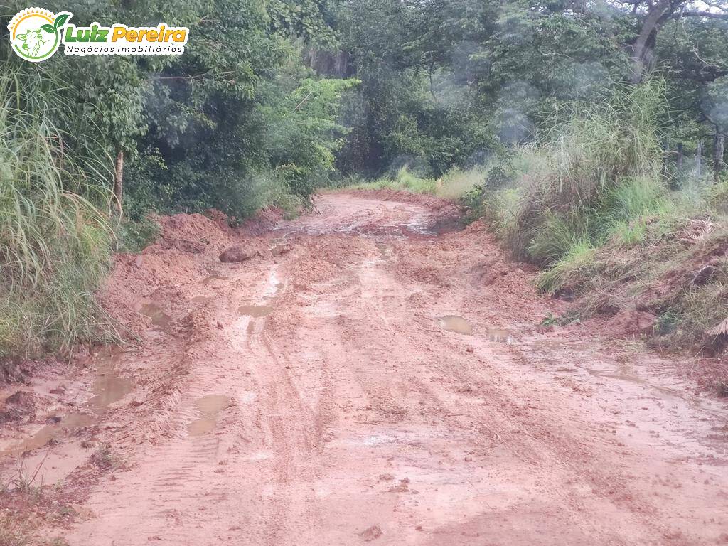 Fazenda à venda, 1597m² - Foto 18