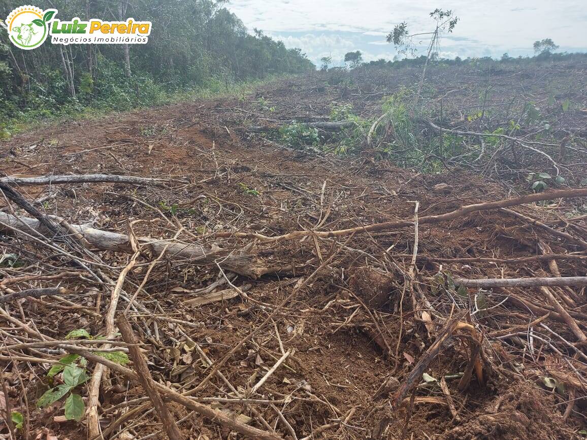 Fazenda à venda, 30008000m² - Foto 11