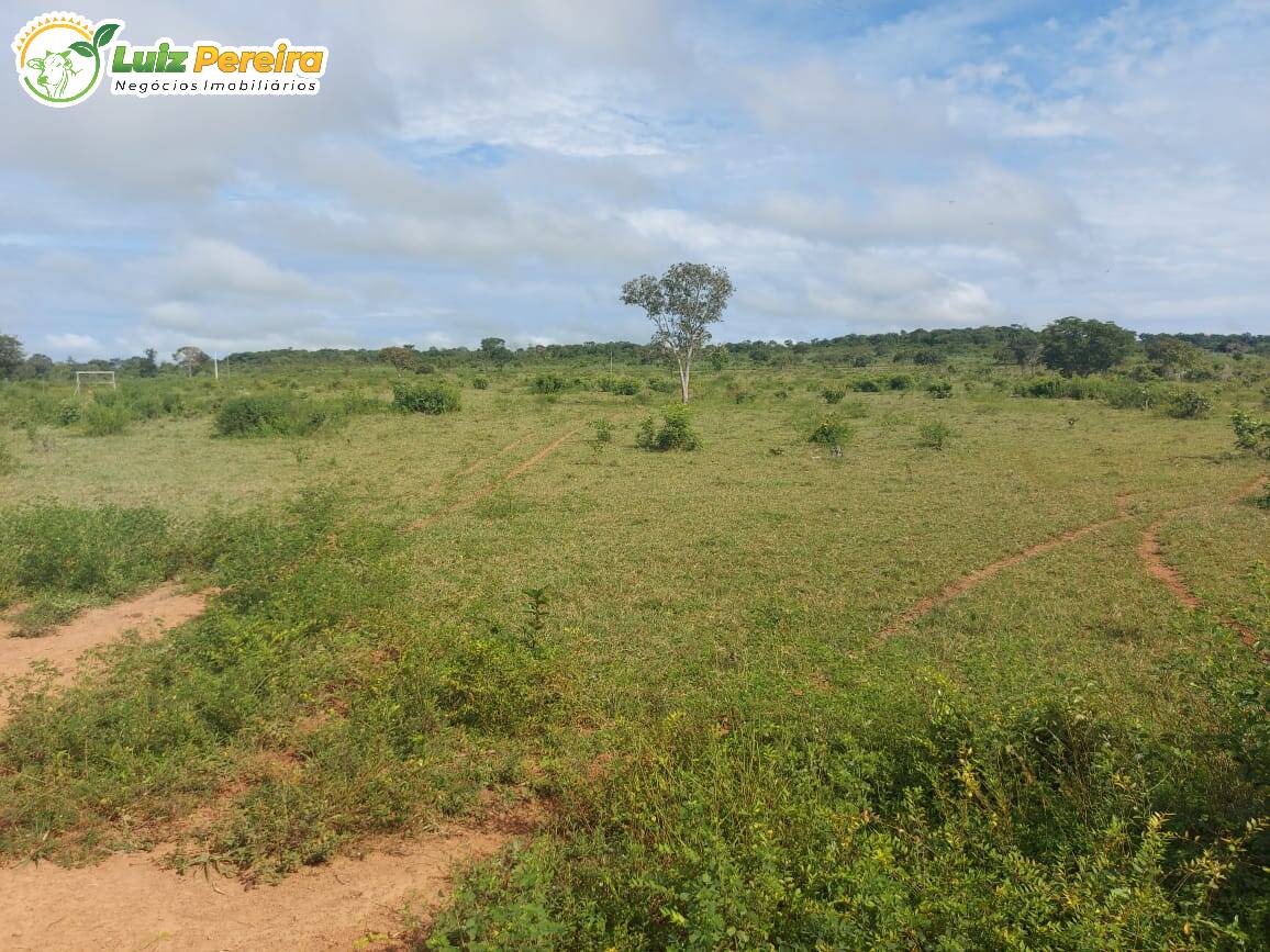 Fazenda à venda, 30008000m² - Foto 13