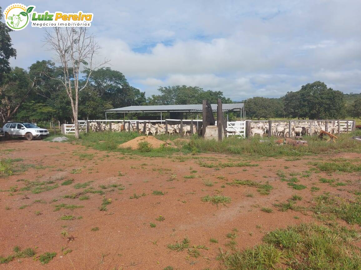 Fazenda à venda, 30008000m² - Foto 15