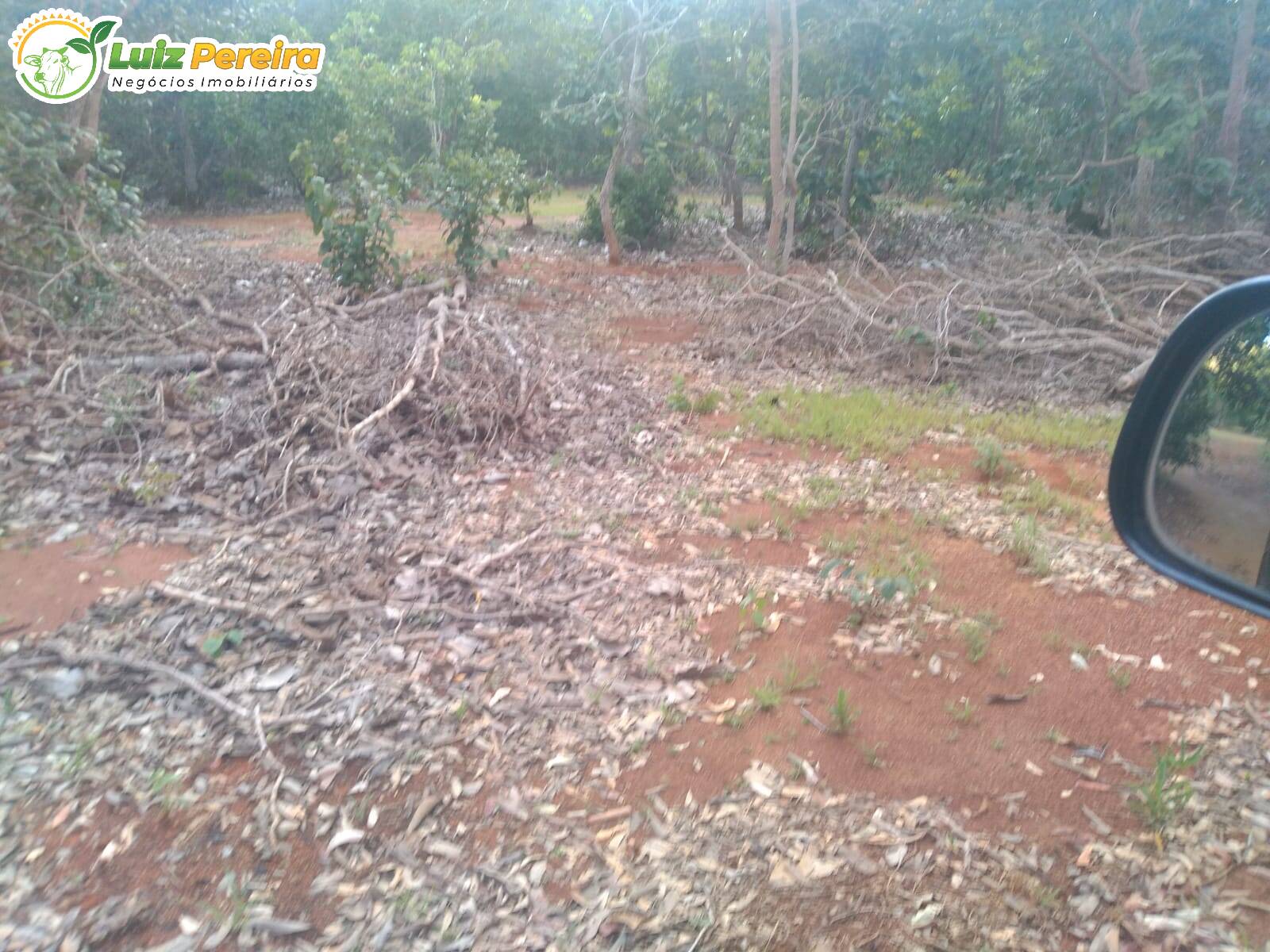 Fazenda à venda, 3220000m² - Foto 8