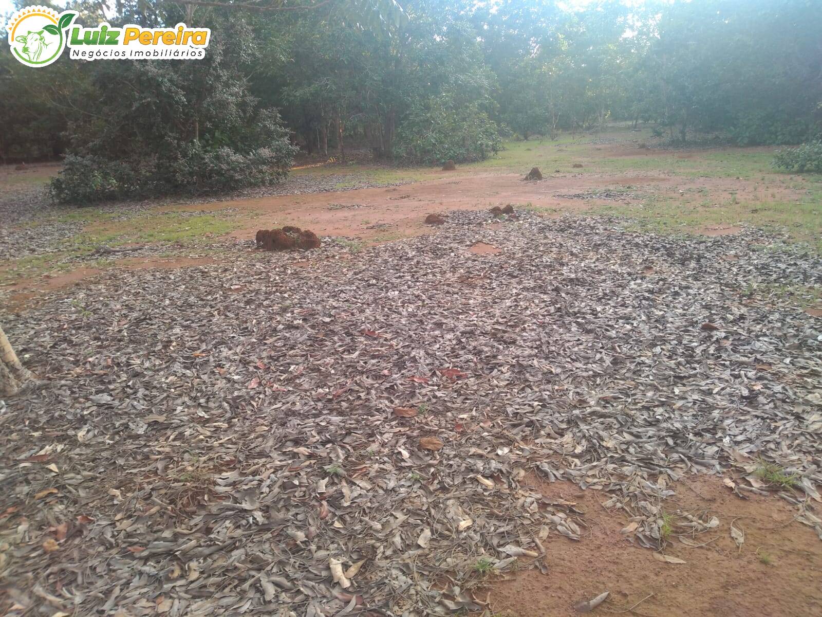 Fazenda à venda, 3220000m² - Foto 10