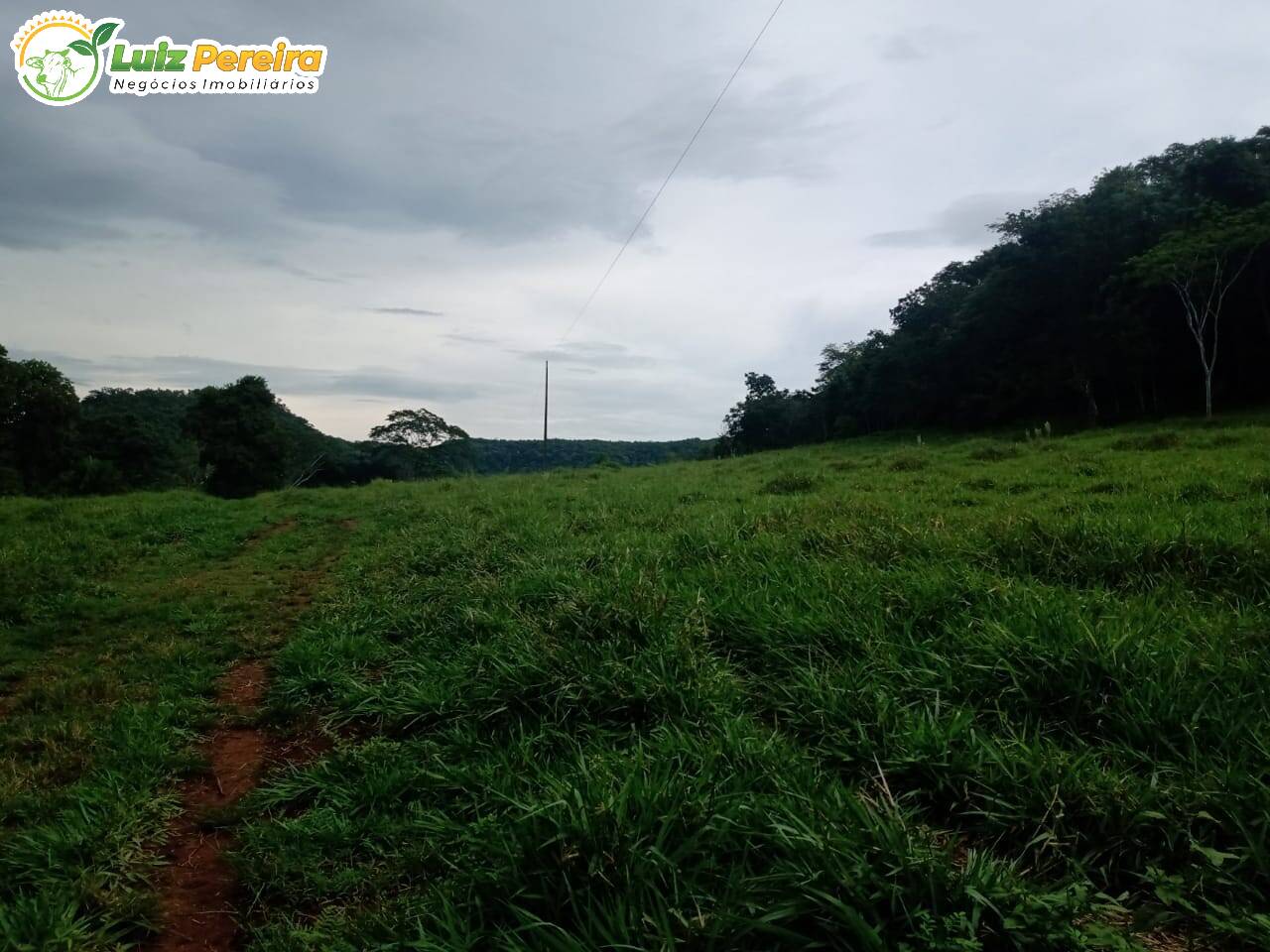 Fazenda à venda, 1960000m² - Foto 9