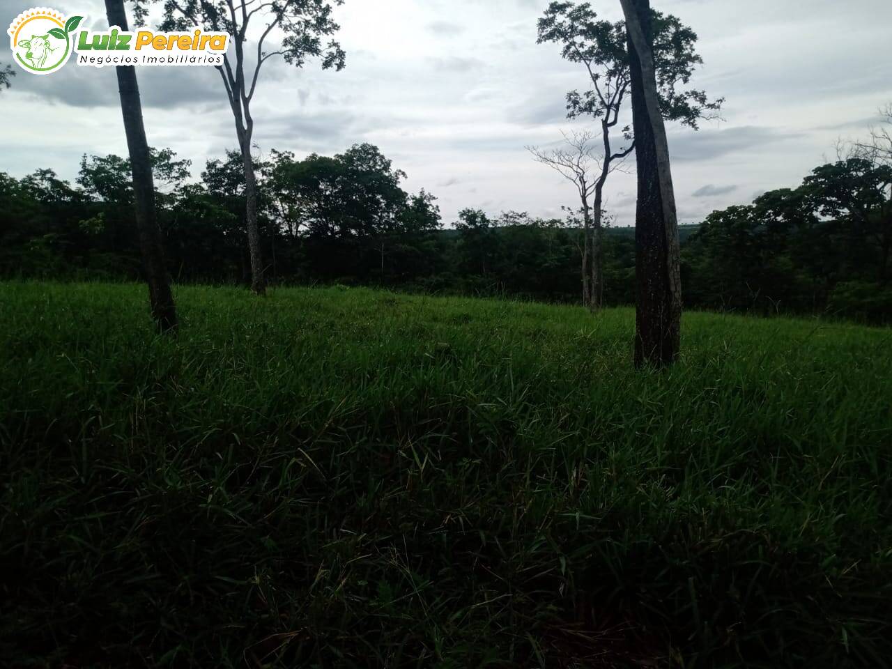 Fazenda à venda, 1960000m² - Foto 4