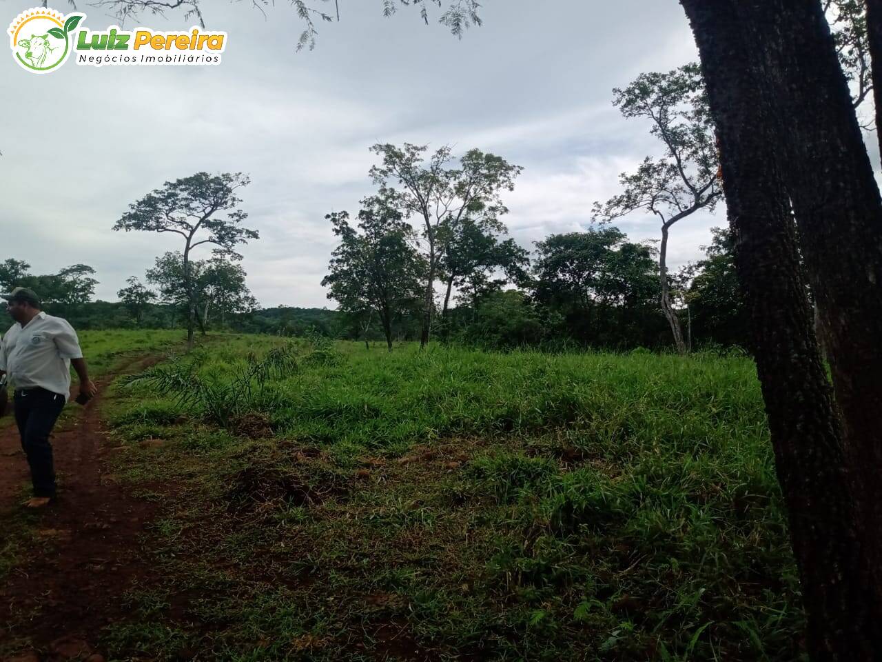 Fazenda à venda, 1960000m² - Foto 5