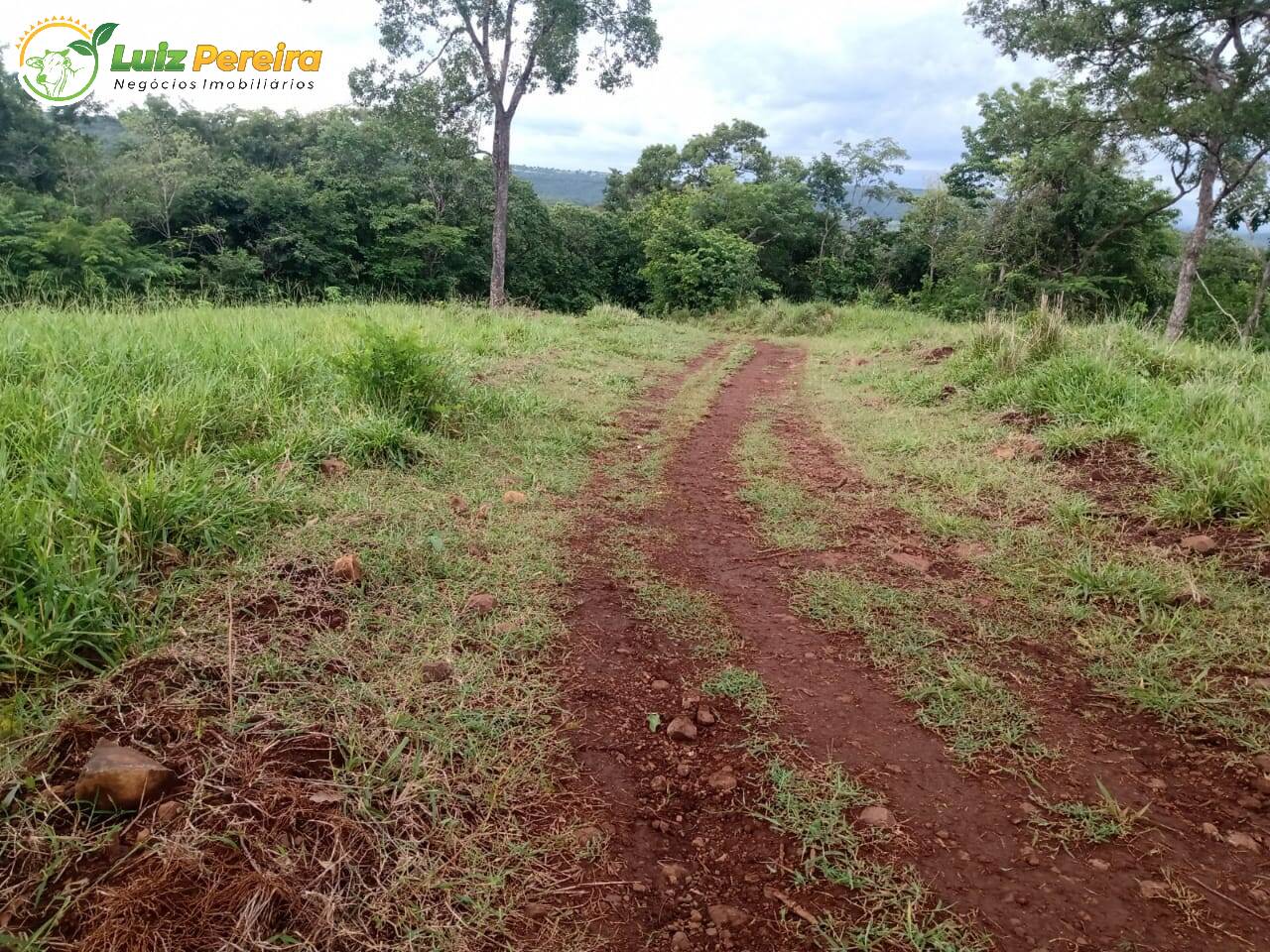 Fazenda à venda, 1960000m² - Foto 6