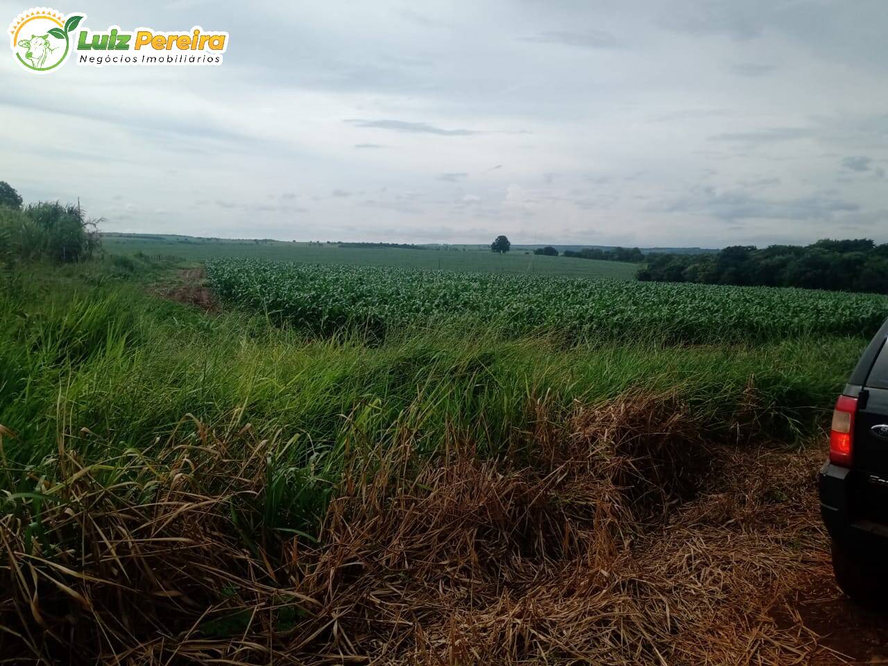 Fazenda à venda, 1960000m² - Foto 8