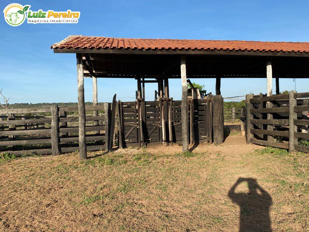 Fazenda-Sítio-Chácara, 300 hectares - Foto 4
