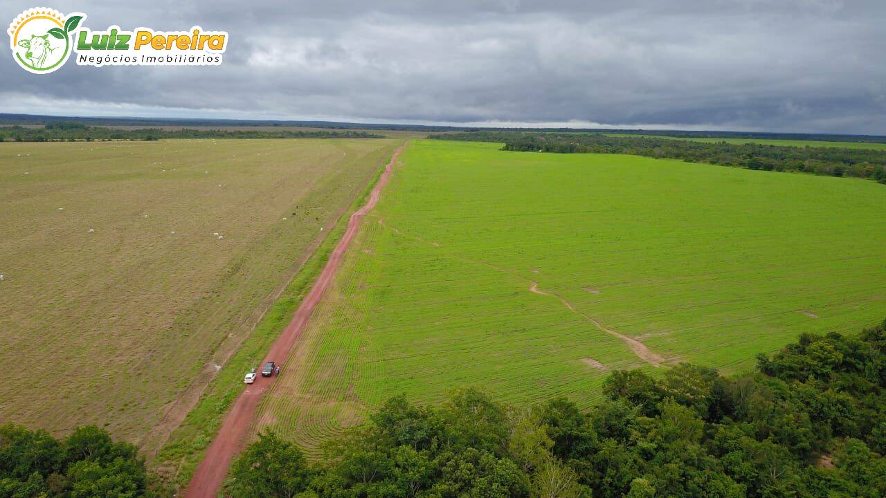 Fazenda-Sítio-Chácara, 542 hectares - Foto 4